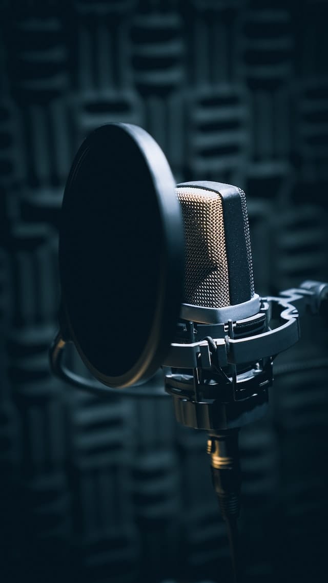 Why Hire Professionals For Voice Acting