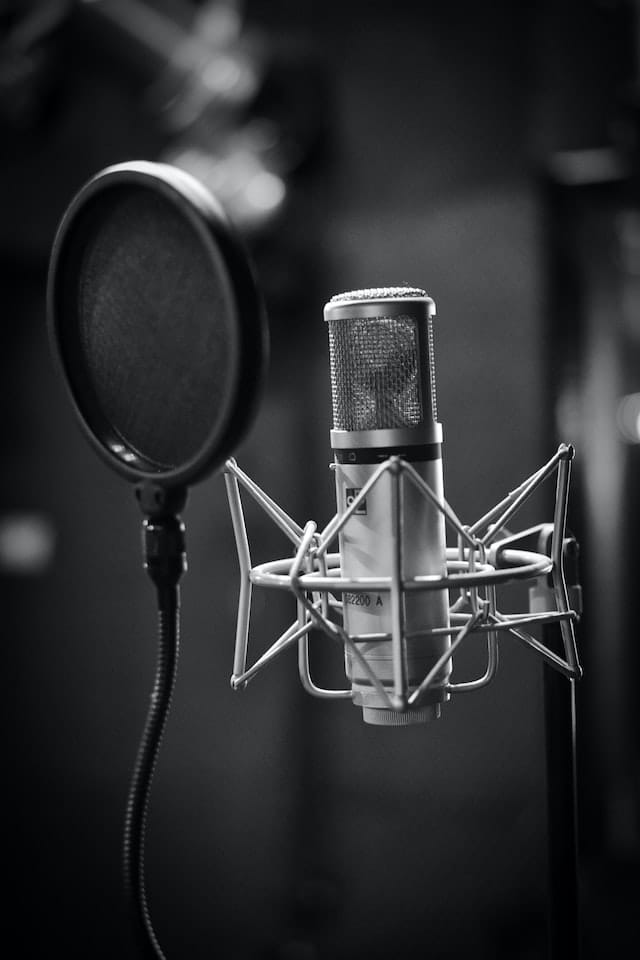 Hire Professional Voice Actors To Bring Your Script To Life