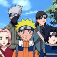 Naruto Special: Battle at Hidden Falls. I Am the Hero! anime